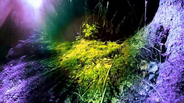 Солнечная активность