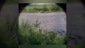 Я люблю тебя, мой Алтай