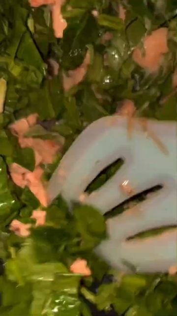 Пирог с курицей,картофелем и грибами #рецепт #рецептпирога #пирогрецепт