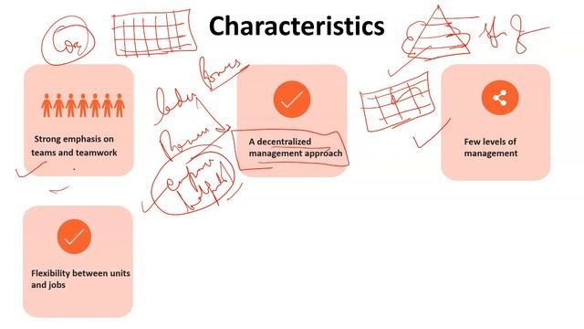 Flat Organizational Structure  Meaning  Characteristics  Advantages  Disadvantages