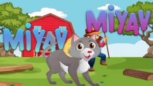 Sar Makarayı · Pazara Gidelim · Anne Karnım Acıktı · Aslanı Seviyorsan Alkışla · Çizgi Film