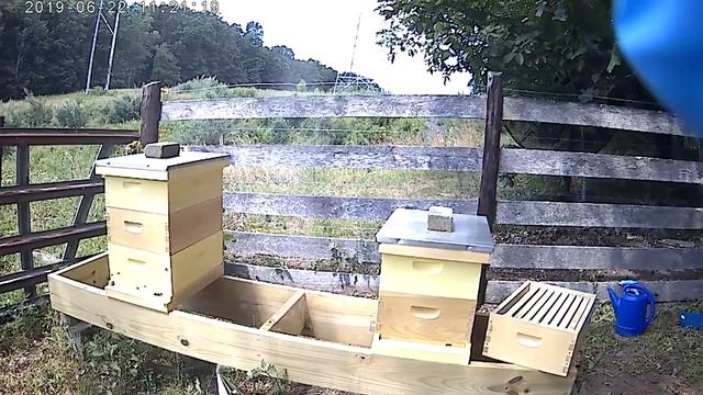 Beekeeping: Installing First Varroa Miticide Treatment Part 1 смотреть онлайн