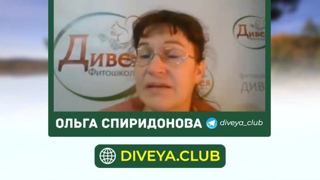Природные энергетики. Бодрящие травы для энергии