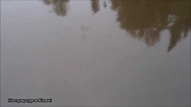 С ночёвкой за окунем (2 часть). смотреть онлайн