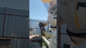 Тестируем,полоски от клеща варроа "Gold" (Турция).