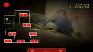 5 начей с котикам без кошки LOL KEK чибурек