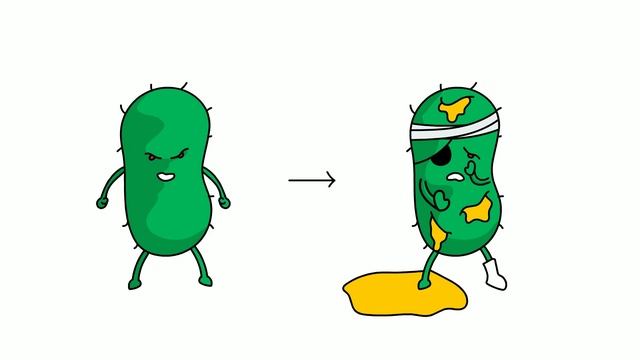 CHITOCEL смотреть онлайн