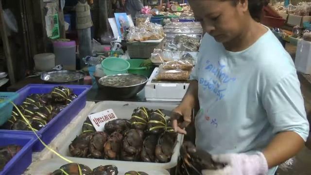 Thai Fish Market смотреть онлайн