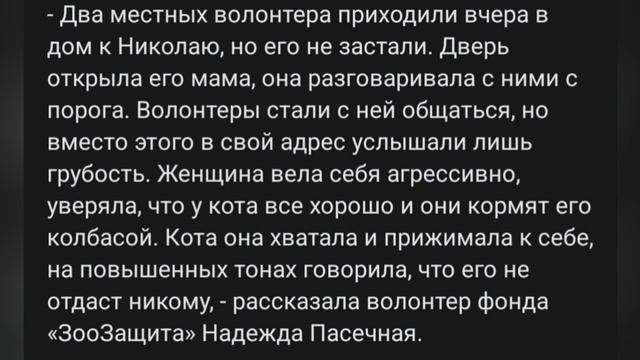 КОТ СЕНЯ С УРАЛА! смотреть онлайн