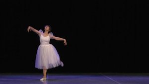 Миниатюра "Лебедь", музыка К. Сен-Санса