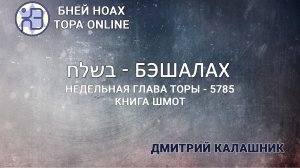 Недельная глава Торы - Парашат а-шавуа - "БЭШАЛАХ" 5785/2025. Дмитрий Калашник