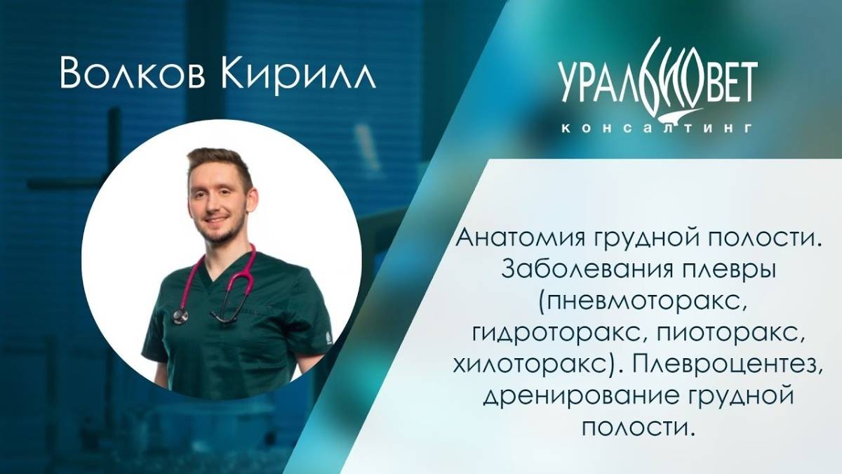 Лекция по торакальной хирургии для ветеринарных врачей. Кирилл Волков. #убвк_хирургия