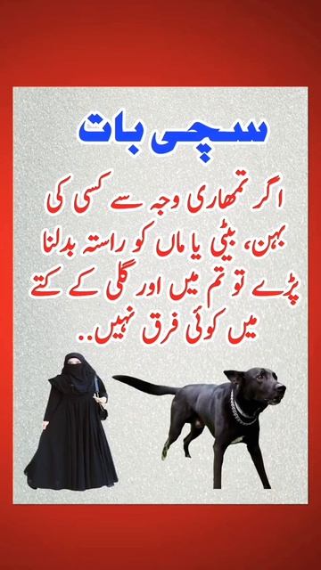 #shortvideosager tumhre waja sy #poetry #viralvideos #love #love #viralquote #religion #poetrycorne смотреть онлайн