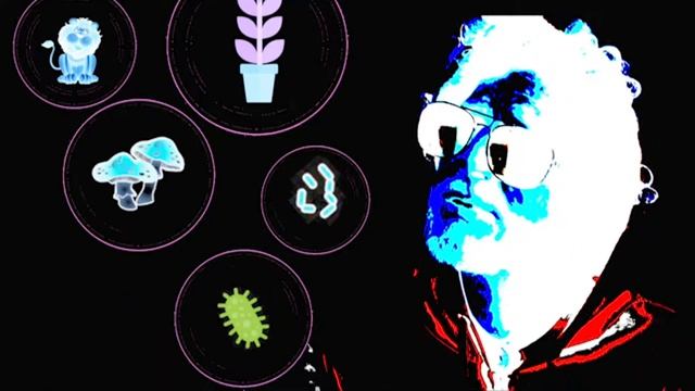 CC Cycle 1 Week 2 Science: What Are The Kingdoms of Living Things? смотреть онлайн