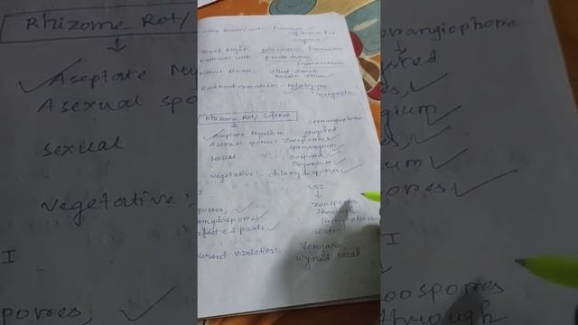 Unit 5: Diseases of Ginger смотреть онлайн