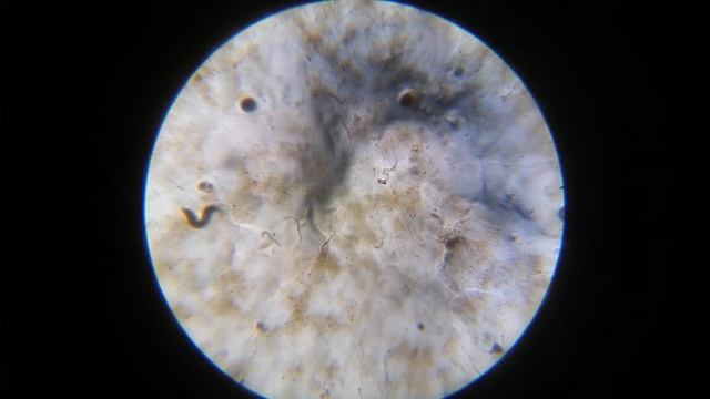 7 ноября 2020 г. смотреть онлайн