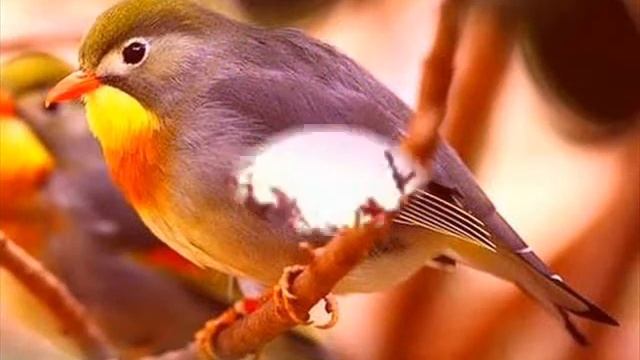 Закат смотреть онлайн