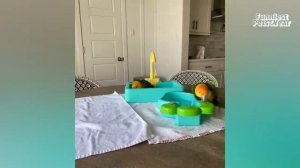 ЦЕЛЫЙ ЧАС САМЫХ СМЕШНЫХ ВИДЕО ПРО ЖИВОТНЫХ 2025