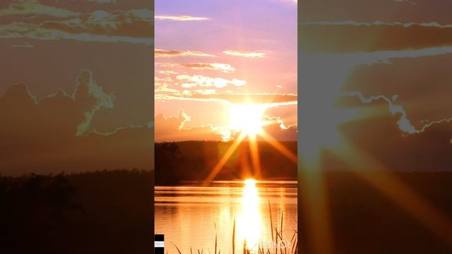 Госуд.язык в РФ русский или как? смотреть онлайн