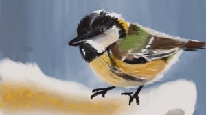 Рисуем птичку синичку