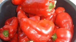 Лечо. Маринкины творинки. Всем МИРА и Добра!