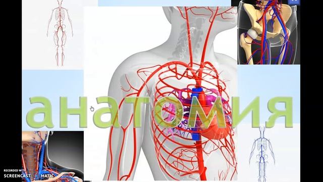 Гребнева НЕМАТЕМАТИКА УГЛОВ смотреть онлайн