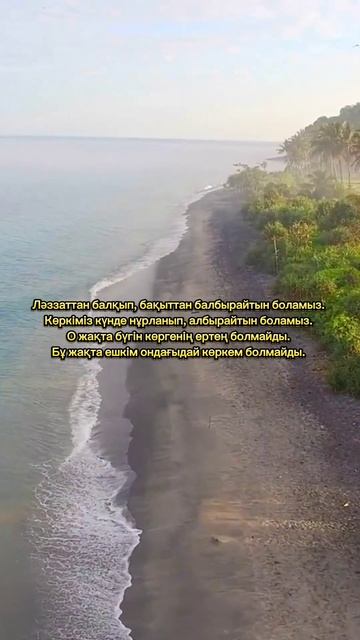 Серік Қалиев өлеңі  поэзия өлең youtubeshorts