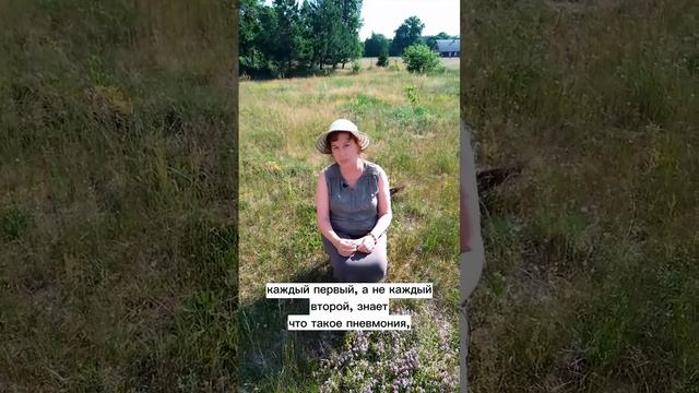 Ваш природный защитник от вирусов и кашля смотреть онлайн