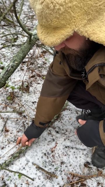 Зимние грибы - бабкины пальчики