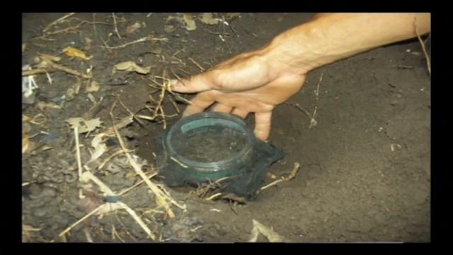 CAPTURA REPRODUCCION Y USO DE HONGOS BENEFICOS EN AO. смотреть онлайн