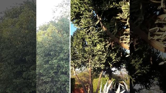 Кому до Єгипту? смотреть онлайн