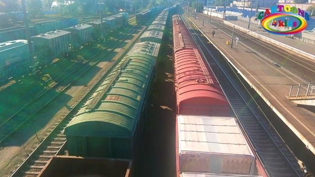 Поезда и Железнодорожный транспорт. Развивающее видео