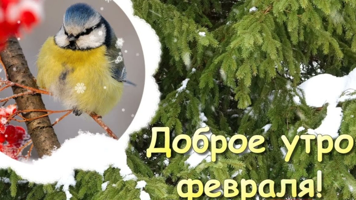 Со светлым утром февраля! Музыкальная открытка.