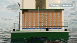 AEF заморозка рыбы в море