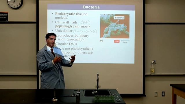 Bio210 Lecture 1, Day 1 - F'2020 (Same as Bio114 Lecture 1 - Part 1) смотреть онлайн