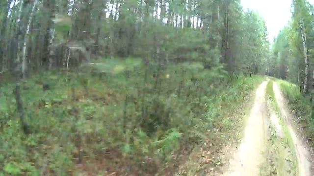 022. Дорога на кордон Бергамак. Грибы. смотреть онлайн