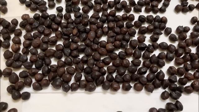 No Caffeine Coffee | Healthy Recipes | Vegan | Shri's Family Kitchen смотреть онлайн