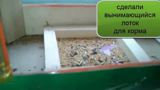 Кормушка для птиц своими руками из ящика смотреть онлайн