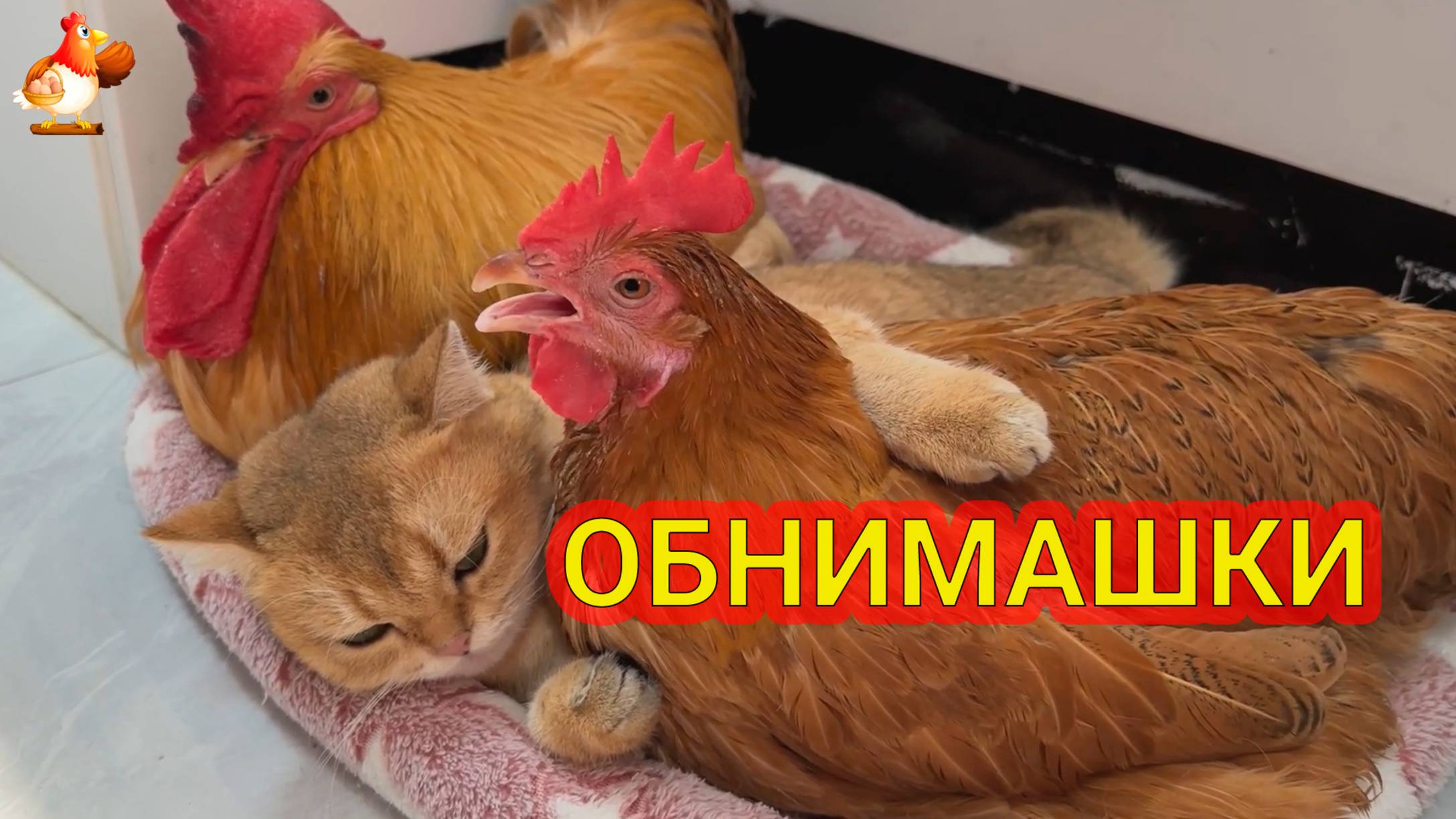 Обнимашки втроем ❣️🤗😂