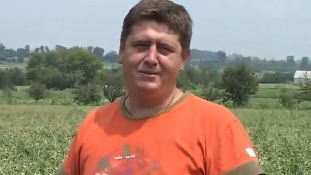 В начале недели буря прошлась и по области