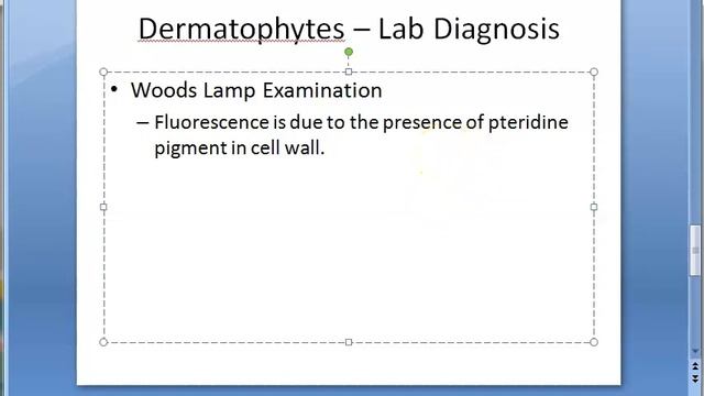 Microbiology 573 a DermatoPhytosis RingWorm Trichophyton Microsporum Epidermophyton ID reaction смотреть онлайн