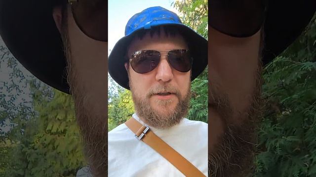 Свобода воли и зеркала. Осознанное решение.