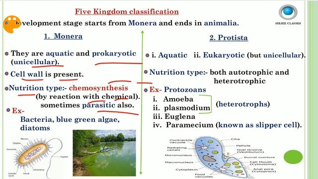 GENERAL SCIENCE BIOLOGY (TAXONOMY, 5 KINGDOM CLASSIFICATION) FOR RRB NTPC/GROUP-D смотреть онлайн