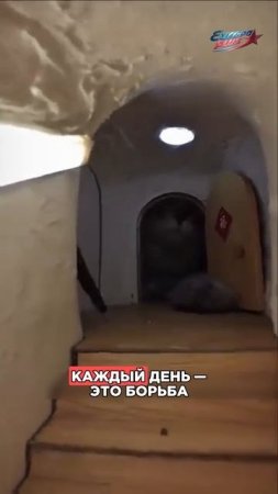 ВЫЖИВАНИЕ в МАСШТАБЕ, который вы НЕ можете себе представить!