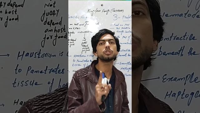 Lichens смотреть онлайн