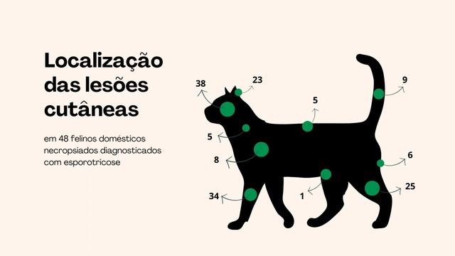 Distribuição das lesões cutâneas em felinos necropsiados associadas à infecção por Sporothrix sp. смотреть онлайн