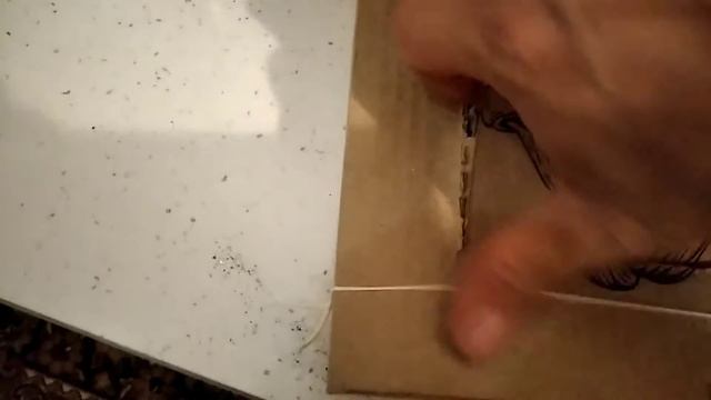 Грибы вешенки смотреть онлайн