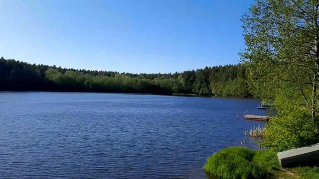 Раифский монастырь вечером. Поселок Раифа в мае. Жители Раифы ждут открытия клуба. Коты и собаки. смотреть онлайн