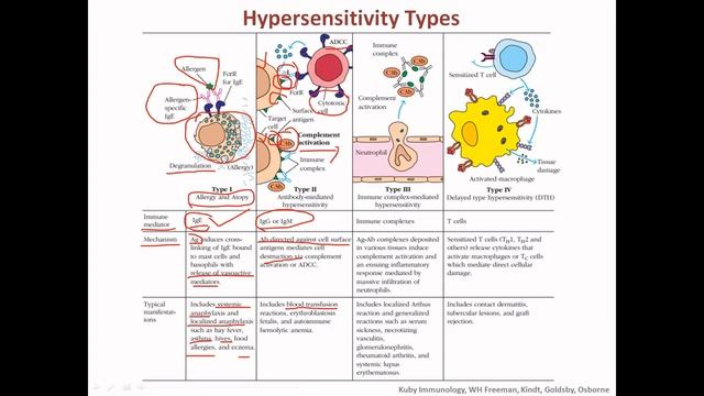 Hypersensitivity смотреть онлайн