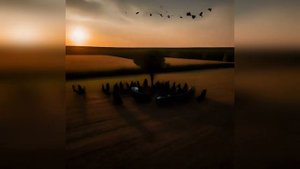 Иван Кучин Черный ворон ремикс